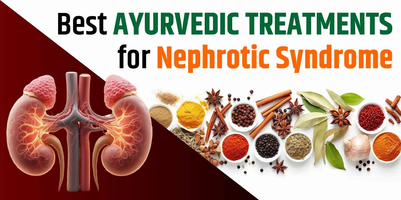 Best Ayurvedic Treatments for Nephrotic Syndrome